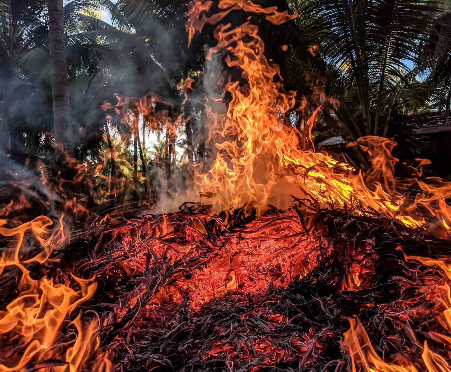 orange fire